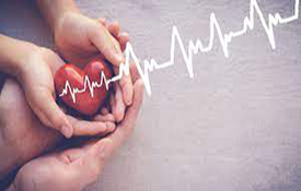 Balon Stent